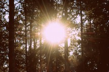 Energiegewinnung aus Sonne und Biomasse